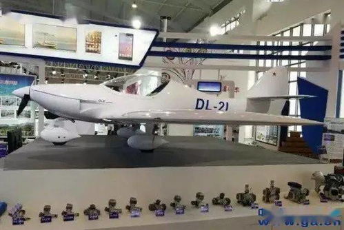 首架DL 2L轻型飞机成功交付浙江用户 共订10架